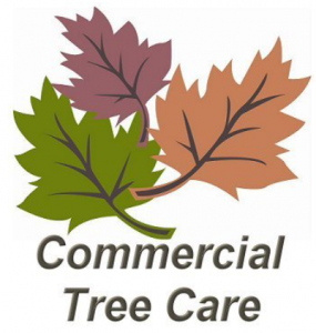 commercial tree care logo