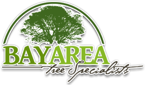 Bay Area Tree Specialists logo