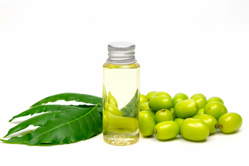 neem oil natural fungicide for powdery mildew